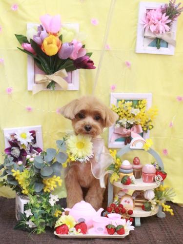 20230304モカくん